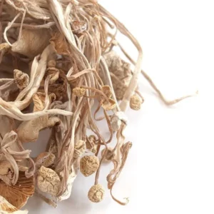 Dry Enoki mushrooms