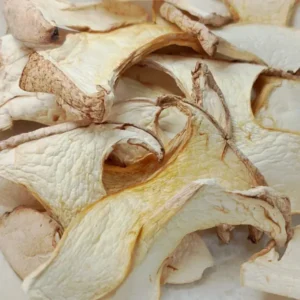 Dry Milky Mushrooms
