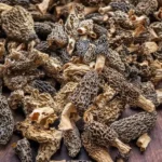 Dry Morel Mushrooms