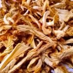 Dry oyster mushrooms