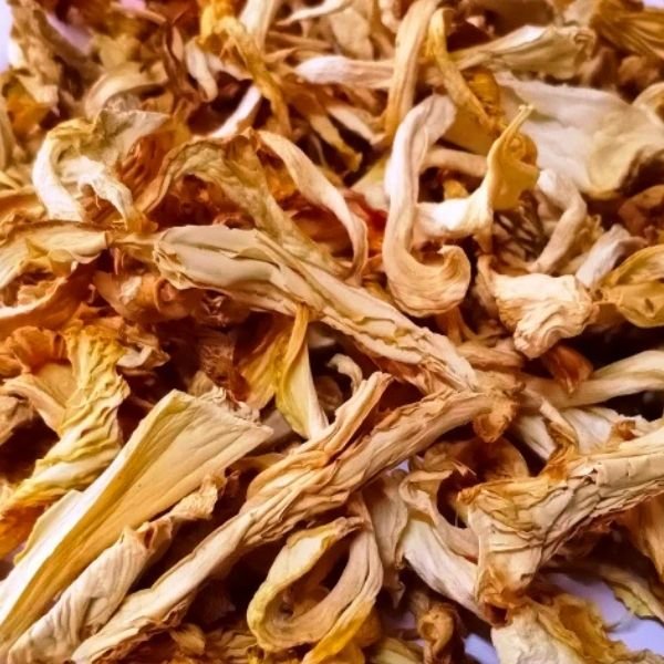 Dry oyster mushrooms