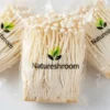 Enoki Fresh Mushroom