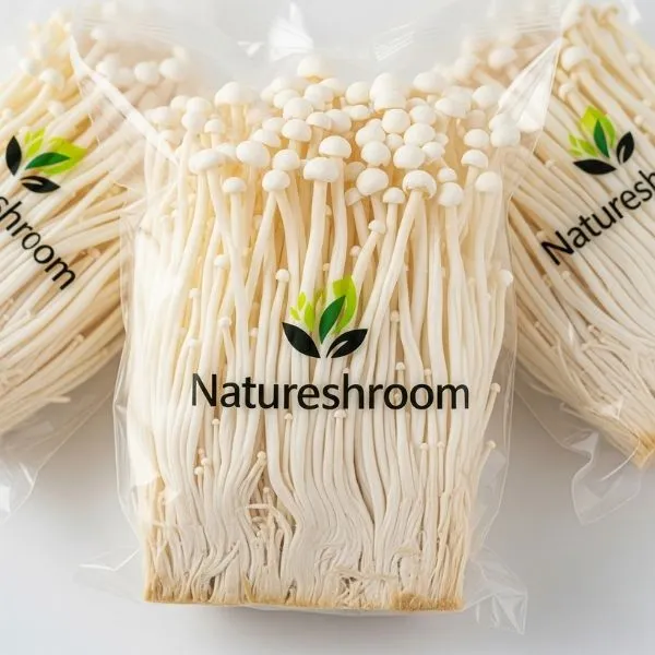 Enoki Fresh Mushroom