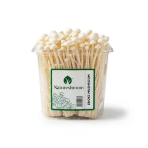 Enoki Mushroom