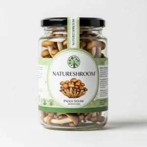 Paddy Straw mushrooms