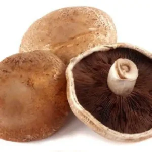 Portobello Mushrooms