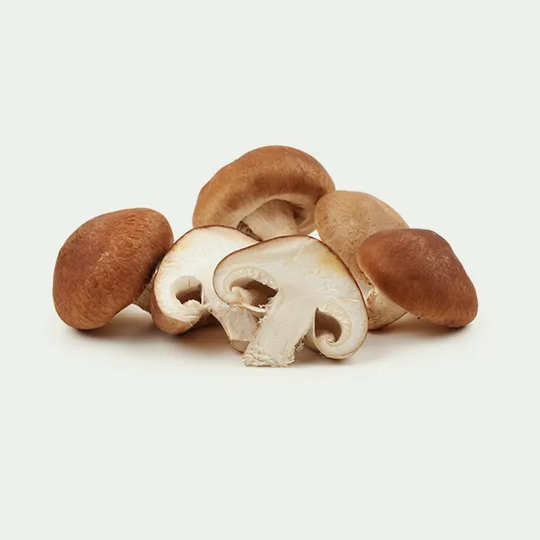 Mushroom
